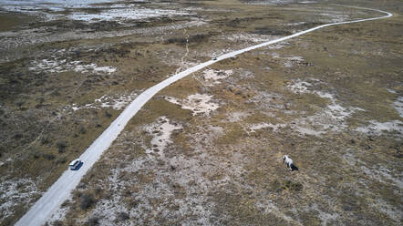 Aerial view of a jeep driving along a dirt track passing close to a wild elephant, Damaraland area, Namibia - VEGF01420