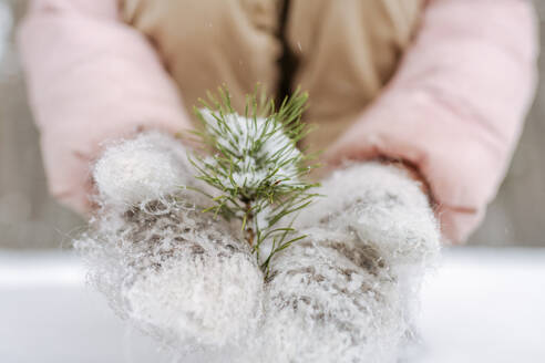 Mädchen mit Handschuhen hält Kiefernzweig mit Schnee, Nahaufnahme - EYAF00839