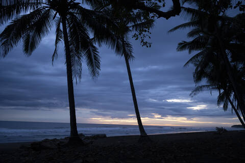 Costa Rica, Guanacaste Province, Silhouettes of palm trees growing on coastal beach at dusk stock photo
