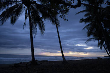Costa Rica, Provinz Guanacaste, Silhouetten von Palmen am Küstenstrand in der Abenddämmerung - TEBF00022