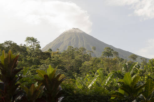 Costa Rica, Provinz Alajuela, La Fortuna, Wald vor dem Vulkan Arenal - TEBF00025