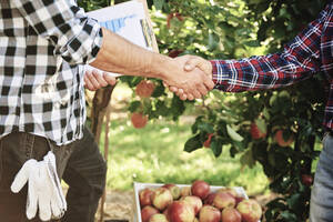 Obstbauern einigen sich und schütteln sich die Hände - ABIF01261