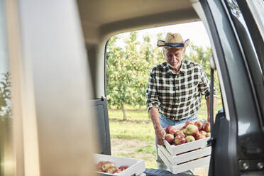 Obstbauer belädt Auto mit Apfelkisten - ABIF01277