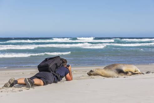 Neuseeland, Dunedin, Männlicher Rucksacktourist fotografiert Neuseeländischen Seelöwen (Phocarctos hookeri), der sich am Allans Beach ausruht - FOF11465