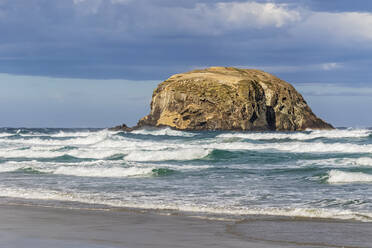 Neuseeland, Dunedin, Allans Beach mit Meeresstapel im Hintergrund - FOF11468