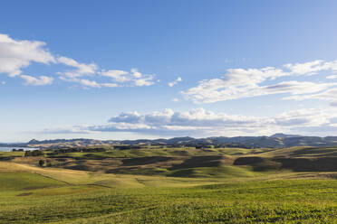 Neuseeland, Nord-Otago, Hampden, Sommerwolken über grünen Grashügeln - FOF11470