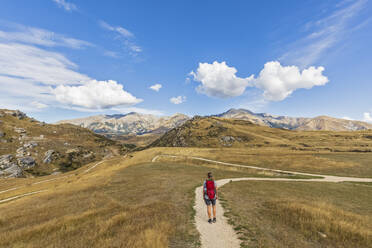 New Zealand, Female hiker standing in middle of winding road admiring landscape of Cave Stream Scenic Reserve - FOF11483