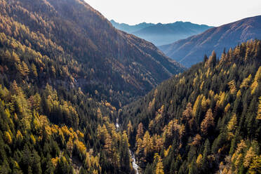 Österreich, Kärnten, Luftaufnahme eines bewaldeten Bergtals im Herbst - DAWF01190