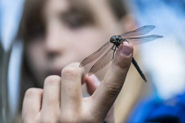 Dragonfly on girls hand - JOHF05858