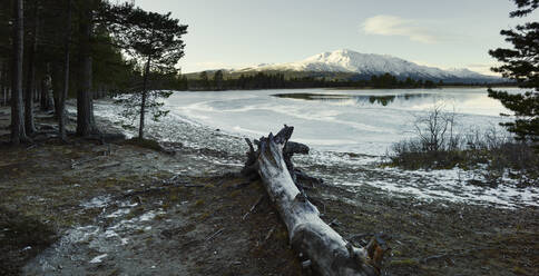 View of winter coast - JOHF05889