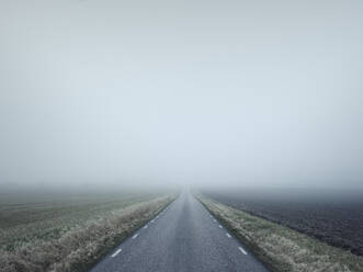 Country road at foggy day - JOHF05897