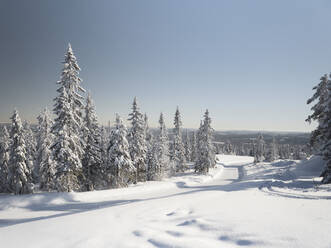 Winter landscape - JOHF05908