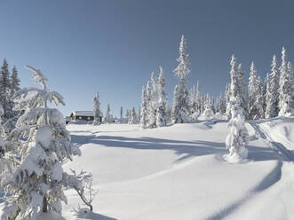 Winterlandschaft - JOHF05909