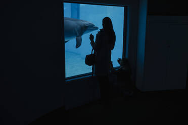 Frau betrachtet Delphin im Aquarium - JOHF05931