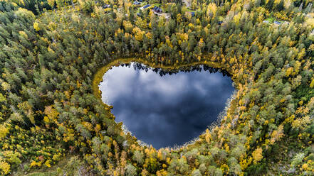 Herzförmiger See, umgeben von Wald - JOHF05955