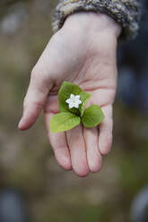 Hand with flower - JOHF06003