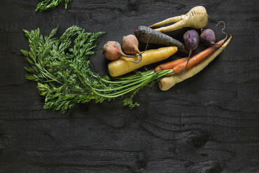 Root vegetables on black background - JOHF06053