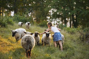 Girl stroking sheep - JOHF06079