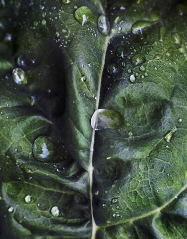 Wassertropfen auf Blatt, lizenzfreies Stockfoto