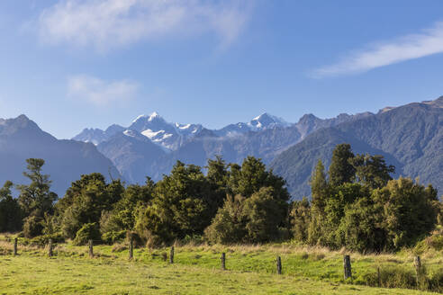 Neuseeland, Westland District, Fox Glacier, Zaun, der sich vor grünen Bäumen mit Bergen im Hintergrund erstreckt - FOF11577