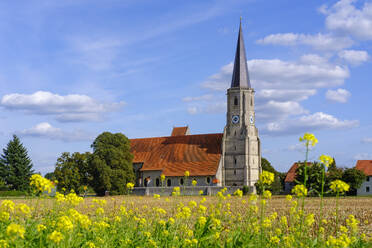 Deutschland, Bayern, Aigen am Inn, Sommerwiese vor der Kirche Maria Himmelfahrt zu St. Leonhard - SIEF09427