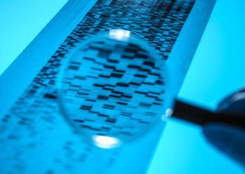 Hand eines Wissenschaftlers, der ein Vergrößerungsglas benutzt, um die Ergebnisse der DNA-Sequenzierung zu analysieren - ABRF00663