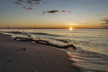 Deutschland, Mecklenburg-Vorpommern, Prerow, Treibholz am Sandstrand bei Sonnenuntergang - STBF00524