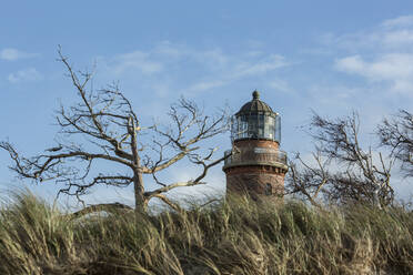 Deutschland, Mecklenburg-Vorpommern, Prerow, Gras und kahle Bäume vor dem Leuchtturm Darsser Ort Natureum - STBF00525