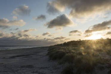 Deutschland, Mecklenburg-Vorpommern, Prerow, Sandiger Küstenstrand bei bewölktem Sonnenaufgang - STBF00526