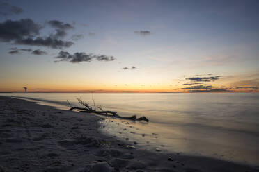 Germany, Mecklenburg-West Pomerania, Prerow, Driftwood lying on sandy coastal beach at dusk - STBF00531