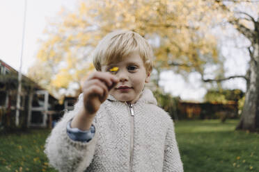 Porträt eines Jungen, der ein kleines Herbstblatt im Garten hält - KNSF07136