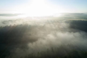 Deutschland, Bayern, Franken, Luftaufnahme eines nebelverhangenen Feldes am Morgen - RUEF02564