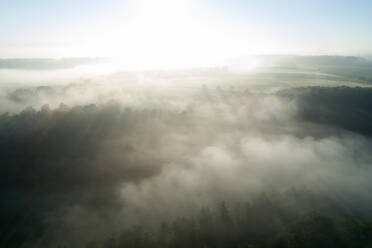 Germany, Bavaria, Franconia, Aerial view of field covered with fog at morning - RUEF02564