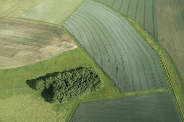 Germany, Bavaria, Franconia, Aerial view of green fields - RUEF02571