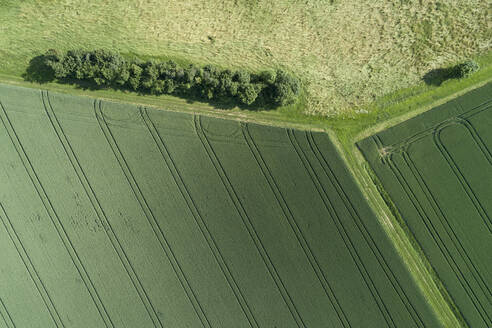 Germany, Bavaria, Franconia, Aerial view of green fields - RUEF02572