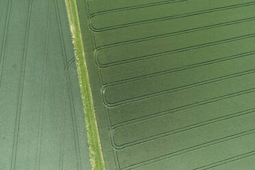Germany, Bavaria, Franconia, Aerial view of green fields - RUEF02573