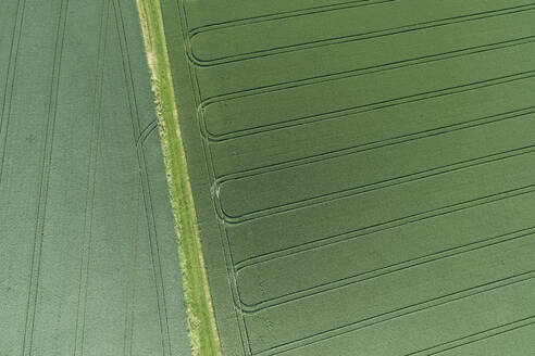 Deutschland, Bayern, Franken, Luftaufnahme von grünen Feldern - RUEF02573