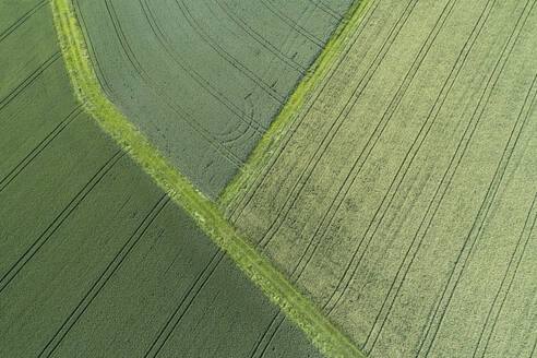 Germany, Bavaria, Franconia, Aerial view of green fields - RUEF02574
