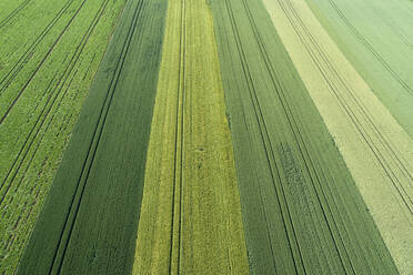 Deutschland, Bayern, Franken, Luftaufnahme von grünen Feldern - RUEF02575