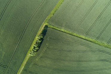 Germany, Bavaria, Franconia, Aerial view of green fields - RUEF02576