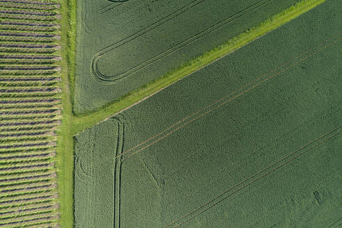 Germany, Bavaria, Franconia, Aerial view of green fields - RUEF02577
