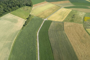 Germany, Bavaria, Franconia, Aerial view of green fields and dirt road - RUEF02587