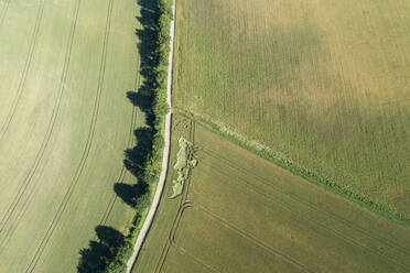 Germany, Bavaria, Franconia, Aerial view of green fields and dirt road - RUEF02589