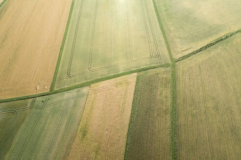 Germany, Bavaria, Franconia, Aerial view of green and yellow fields and dirt roads - RUEF02590