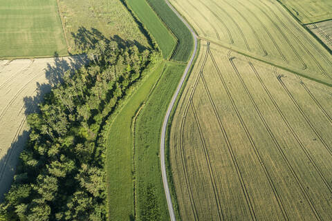 Germany, Bavaria, Franconia, Aerial view of green fields and dirt road stock photo