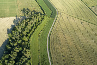 Germany, Bavaria, Franconia, Aerial view of green fields and dirt road - RUEF02593