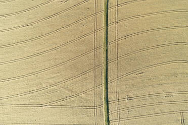Germany, Bavaria, Franconia, Aerial view of field and dirt road - RUEF02594