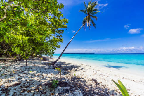 Papua New Guinea, Milne Bay Province, Blue sky over sandy coastal beach of Conflict Islands in summer - THAF02639