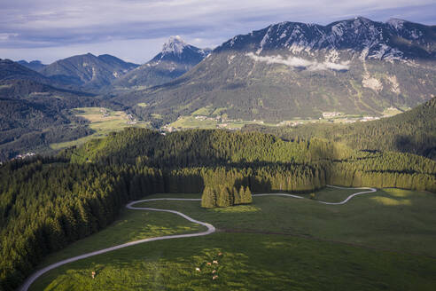 Austria, Tyrol, Eben am Achensee, Aerial view of winding road and green alpine forest in summer - DHEF00041