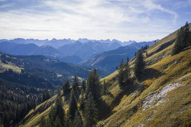 Österreich, Tirol, Eben am Achensee, Blick auf ein grün bewaldetes Bergtal im Herbst - DHEF00053